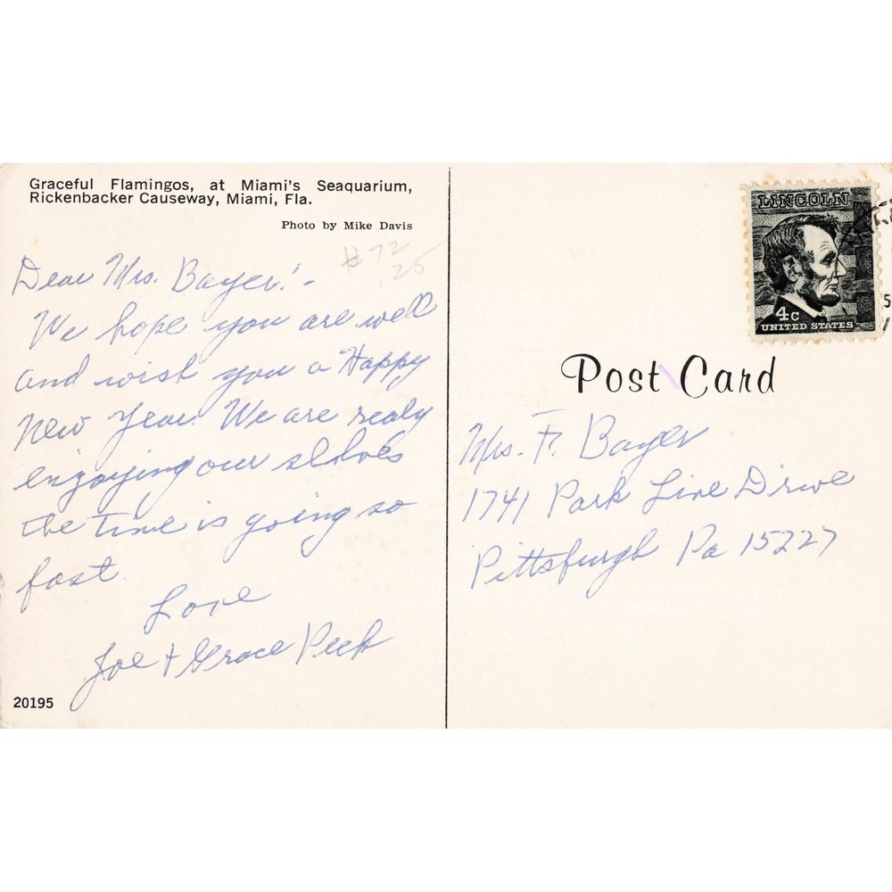 Vtg Miami Seaquarium Flamingos Florida Postcard Mike Davis 4c Lincoln Stamp - Picture 2 of 2